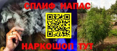 spice Пенза