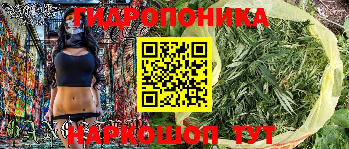 Конопля план  Вход с VPN  Родники  Марихуана Amnesia  Марихуана THC 21% 